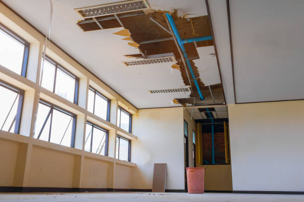 Best Fire Damage Restoration  in Jefferson, GA