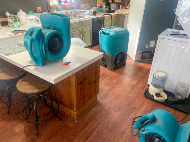 Best Water damage contractors near me  in Jefferson, GA