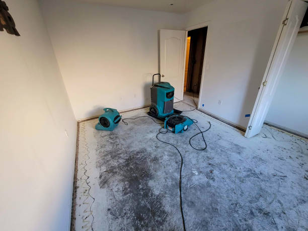 Best Flood restoration services  in Jefferson, GA