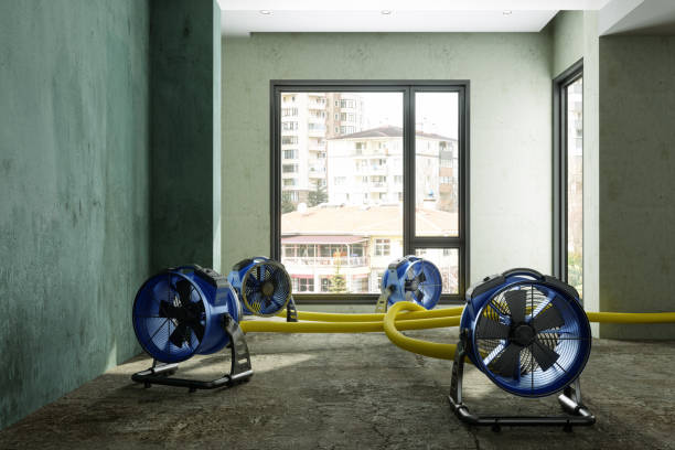 Best Water damage restoration cost  in Jefferson, GA