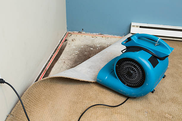 Trusted GA Water damage restoration Experts